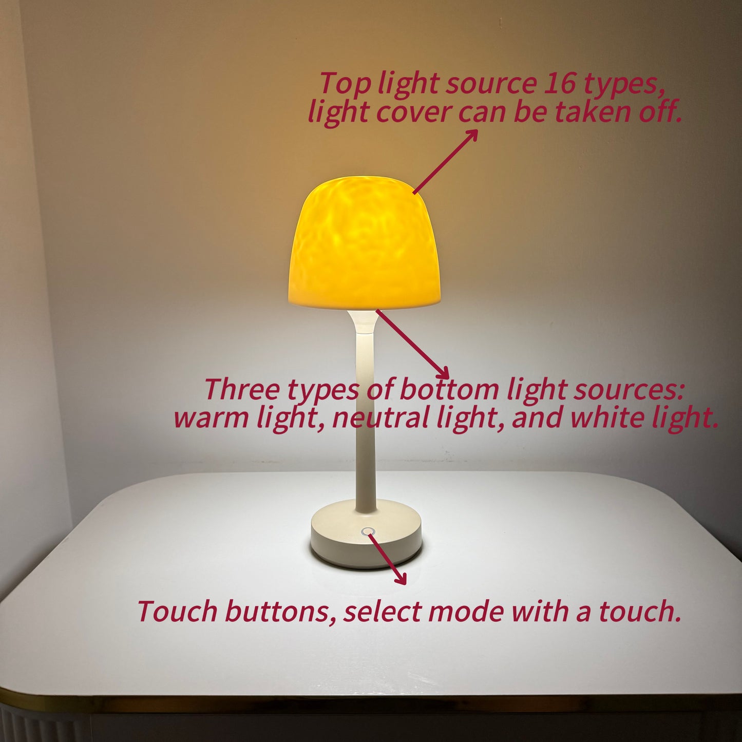 Multi-function Table Lamp