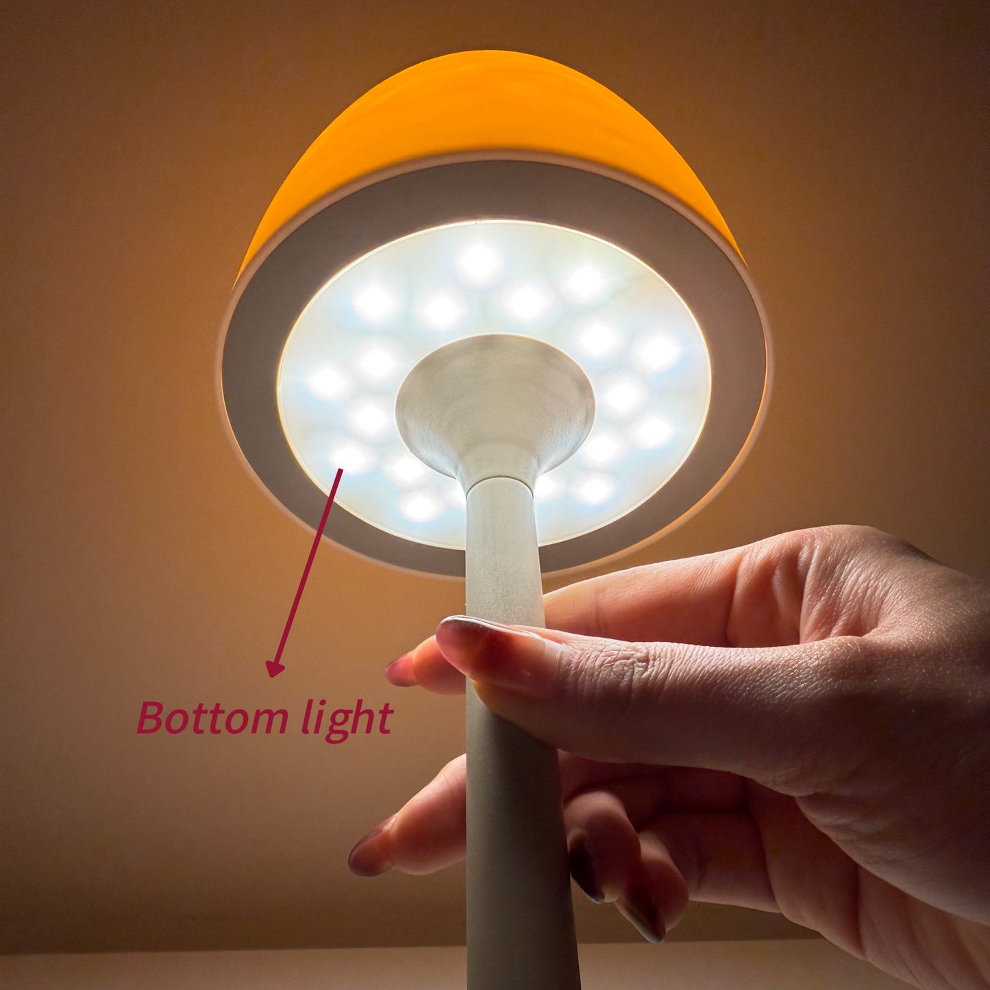 Multi-function Table Lamp