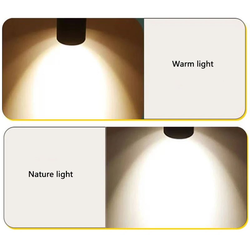 Japanese Walnut Color Lamp - RedwoodAlliance