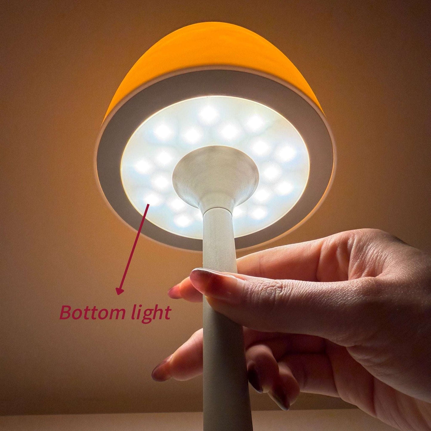 Multi - function Table Lamp - RedwoodAlliance