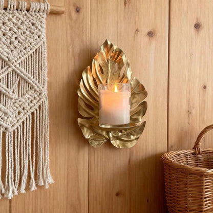 Aureum Monstera Glow