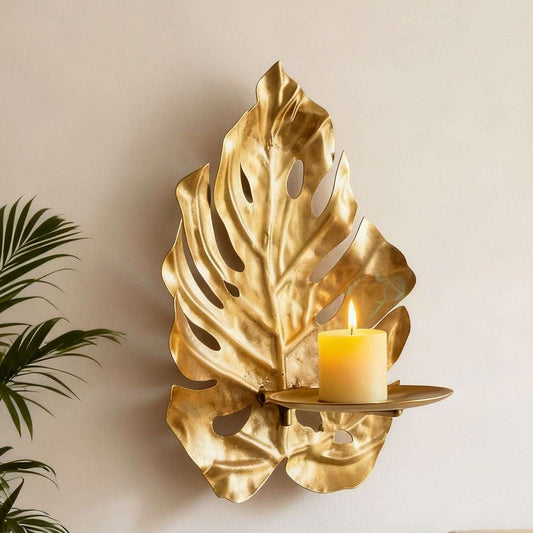 Aureum Monstera Glow