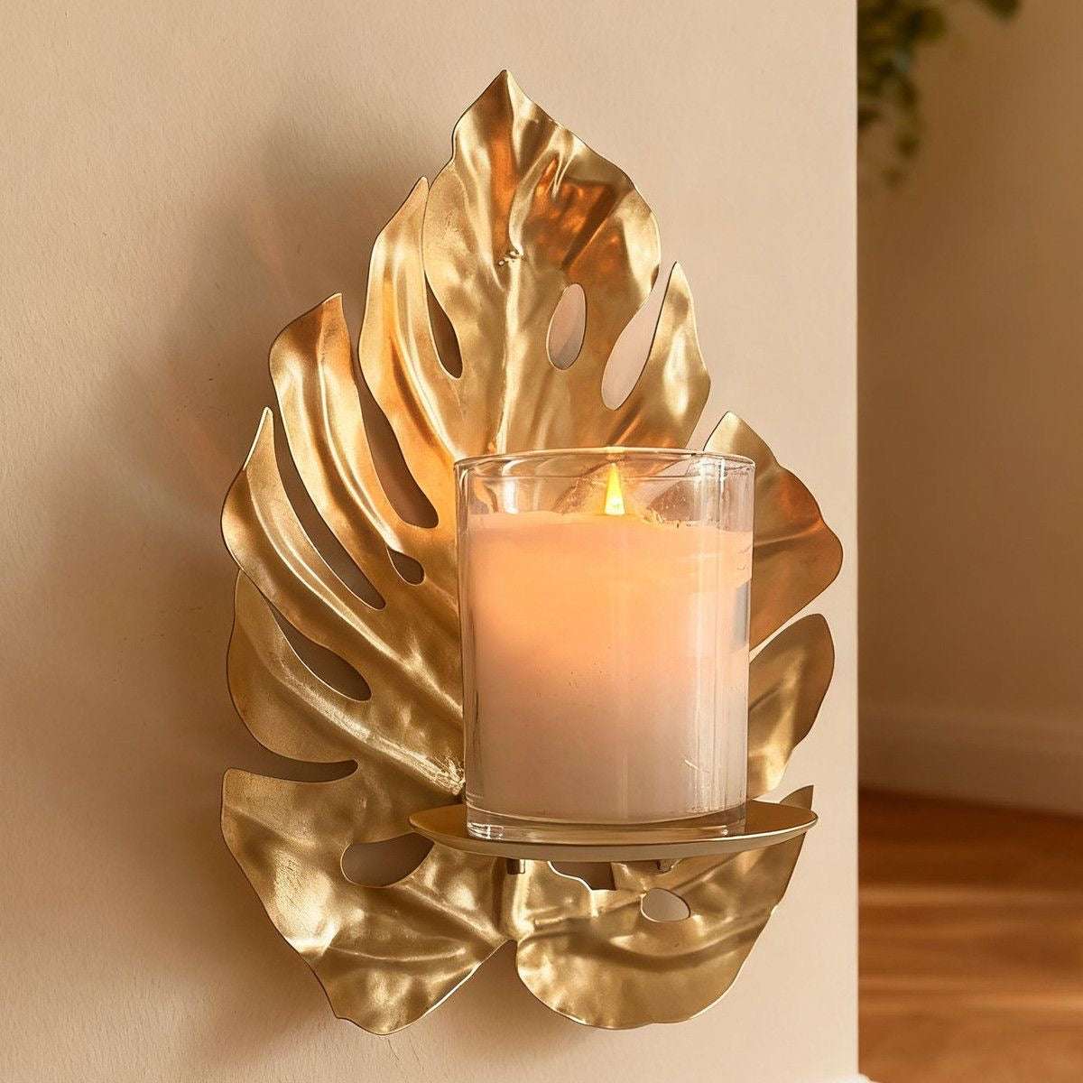 Aureum Monstera Glow