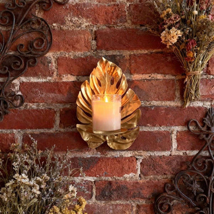 Aureum Monstera Glow